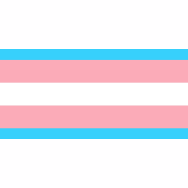 29 de Janeiro – Dia Nacional da Visibilidade Trans